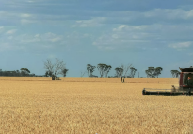 Australian Cropping